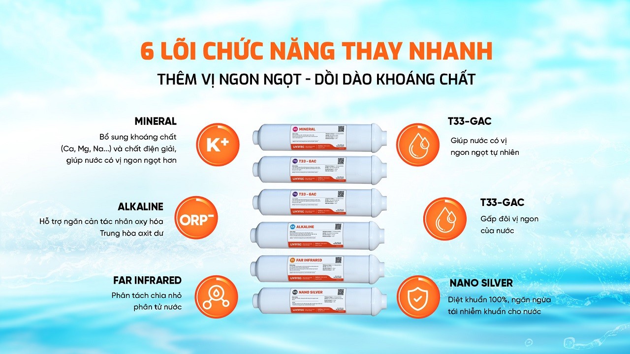 6 Lõi chức năng thay nhanh thêm vị ngon ngọt - dồi dào khoáng chất 6 Lõi chức năng thay nhanh thêm vị ngon ngọt - dồi dào khoáng chất