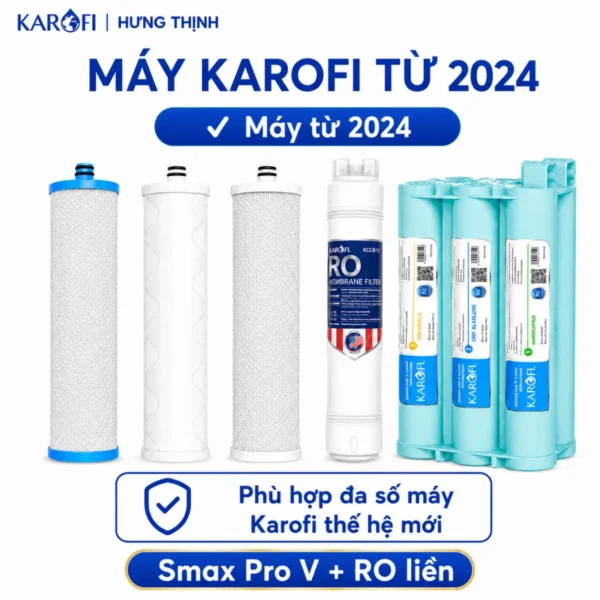 Từ 2024 đến nay